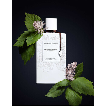 Patchouli Blanc EDP
